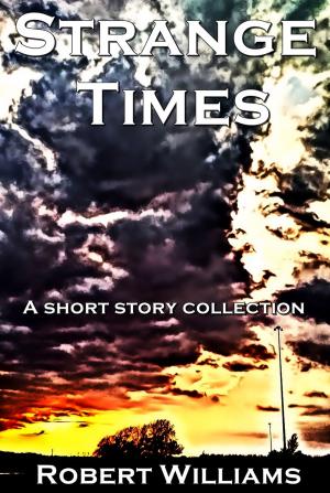 Cover of the book Strange Times by Nancy Temple Rodrigue