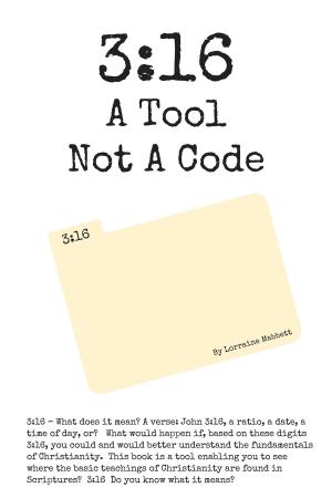 bigCover of the book 3:16 A Tool Not A Code by 