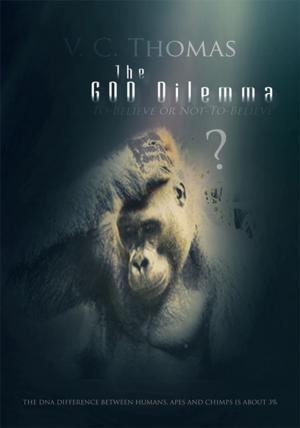 Cover of the book The God Dilemma by Carole Stern