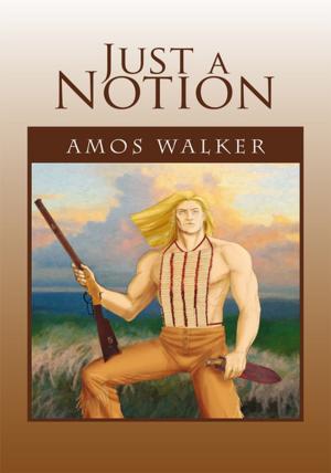 Cover of the book Just a Notion by Edward Hunter