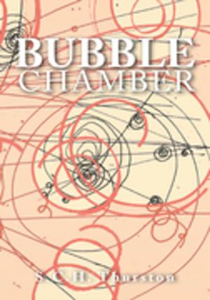 Cover of the book Bubble Chamber by J. N. Sadler