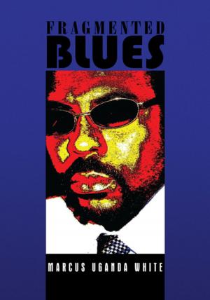 bigCover of the book Fragmented Blues by 