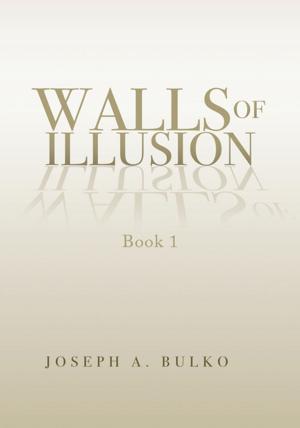 Cover of the book Walls of Illusion by Carol Jean Delmar