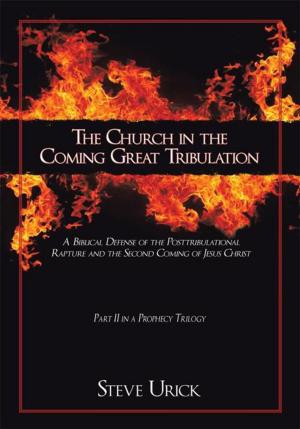 Cover of the book The Church in the Coming Great Tribulation by David Maendel