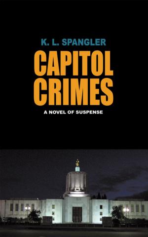 Cover of the book Capitol Crimes by Merritt Abrash
