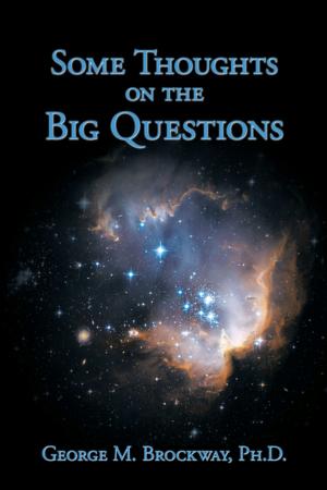 Cover of the book Some Thoughts on the Big Questions by Larry J. Perry