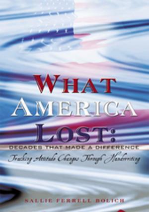 Cover of the book What America Lost: Decades That Made a Difference by Junmo Kim
