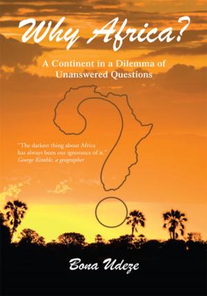 Cover of the book Why Africa? by William Dewberry