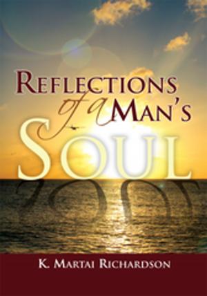 Book cover of Reflections of a Man's Soul