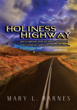 Cover of the book Holiness Highway by Megan Pitts, Vicki Shankwitz