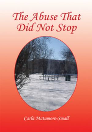 Book cover of The Abuse That Did Not Stop