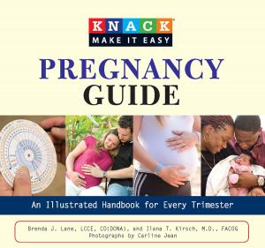 Cover of the book Knack Pregnancy Guide by Susan Bourgoin, Cheryl Charming