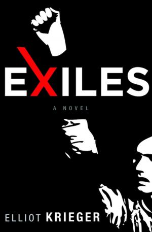 Cover of the book Exiles by Linsey Lanier
