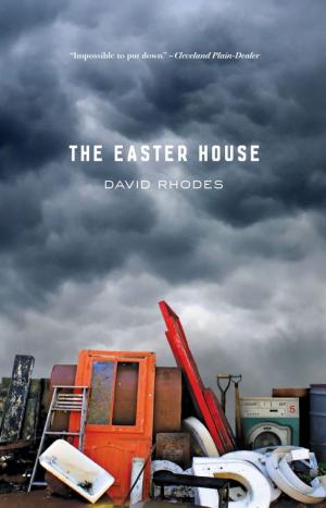 Cover of the book The Easter House by Salgado Maranhão