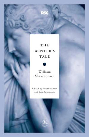 Cover of the book The Winter's Tale by Michael Palmer