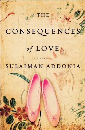 Cover of the book The Consequences of Love by Julie Edelman