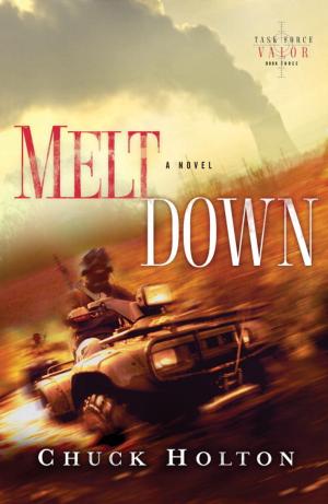 Cover of the book Meltdown by Emanuel Rosen