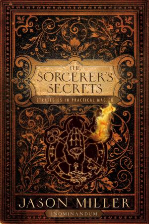 Cover of the book The Sorcerer's Secrets by Erin Barrett, Jack Mingo