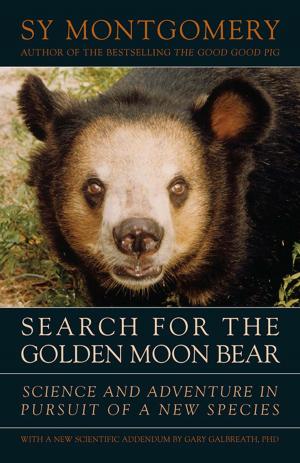 Book cover of Search for the Golden Moon Bear