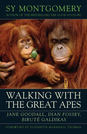 Cover of the book Walking with the Great Apes by Kate Raworth