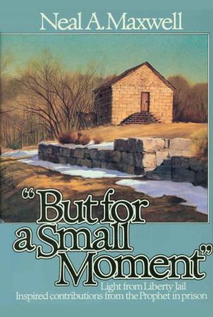 Cover of But for a Small Moment