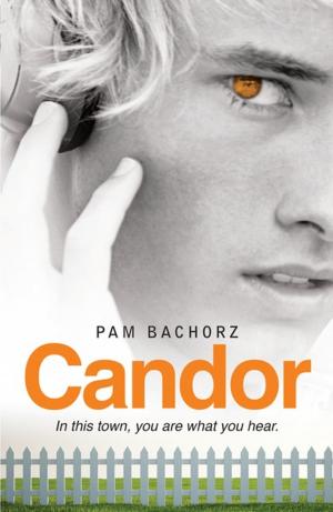 Book cover of Candor