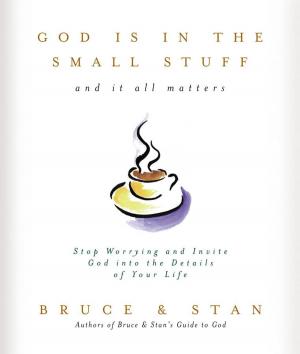 Cover of the book God Is in the Small Stuff by Kelly Eileen Hake