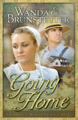 Cover of the book Going Home by MariLee Parrish