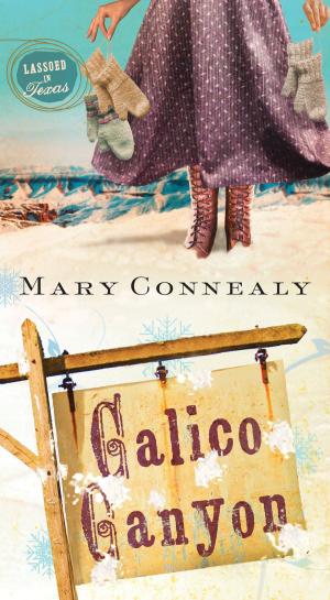 Book cover of Calico Canyon
