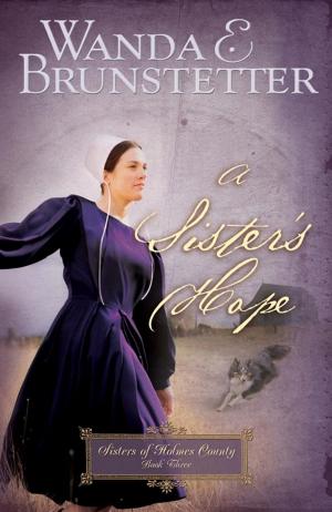 Cover of the book A Sister's Hope by Miranda Hillers