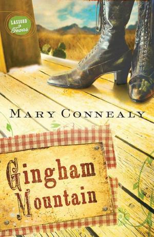 bigCover of the book Gingham Mountain by 