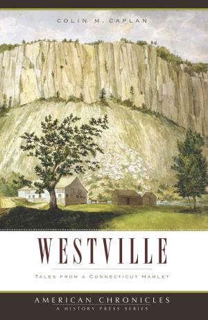 Cover of the book Westville by Stephen E. Drew