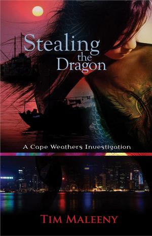 Cover of the book Stealing the Dragon by Cory Putman Oakes