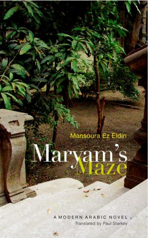 Cover of the book Maryams Maze by V. M. Franck
