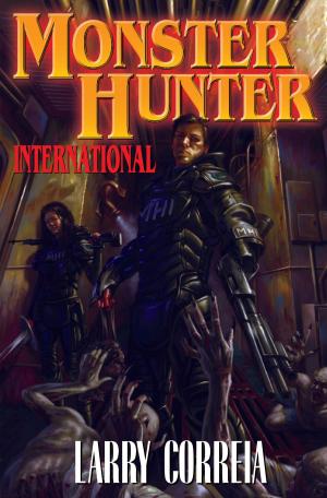 Cover of the book Monster Hunter International by David Drake