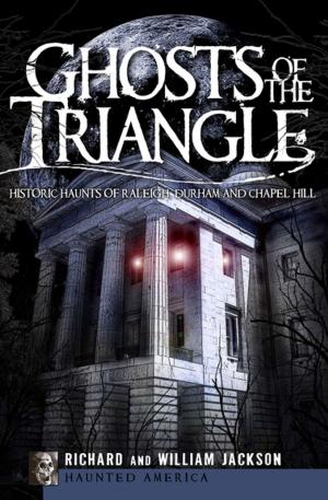 Cover of the book Ghosts of the Triangle by Jean Patrick PEYRE