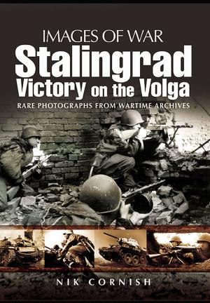 Cover of the book Stalingrad by Angello Wellson-Noble