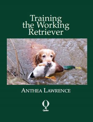 Book cover of Training the Working Retriever