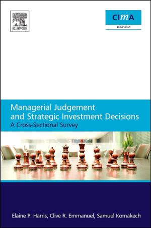 Cover of the book Managerial Judgement and Strategic Investment Decisions by B.K.G. Theng