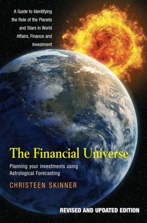 Cover of the book The Financial Universe by Nathan Shachar