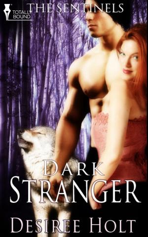Cover of the book Dark Stranger by T.A. Chase