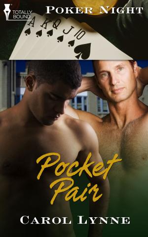 Cover of the book Pocket Pair by Valentina Heart