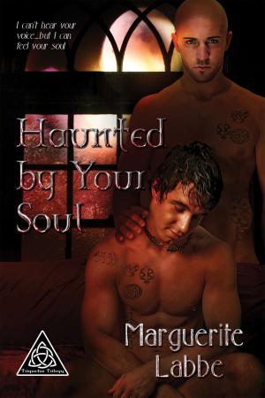 Cover of the book Haunted by Your Soul by Andrew Grey