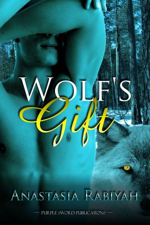 Cover of the book Wolf's Gift by S.D. Grady
