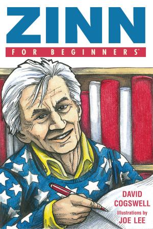 Cover of the book Zinn For Beginners by Robert Dryden