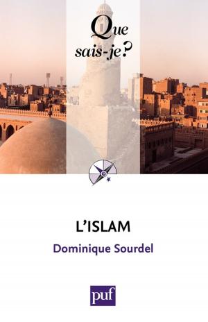 Cover of the book L'islam by Paul Aron, Alain Viala