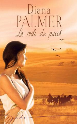 Cover of the book Le voile du passé by Elizabeth Boyle