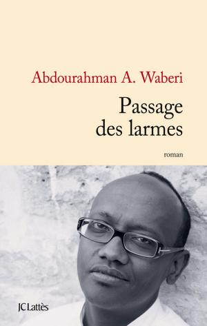Cover of the book Passage des larmes by Åke Edwardson