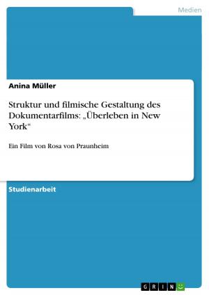 Cover of the book Struktur und filmische Gestaltung des Dokumentarfilms: 'Überleben in New York' by Sabine Buchholz