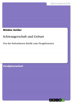 Cover of the book Schwangerschaft und Geburt by Joschka Riedel